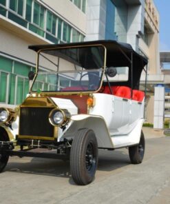 Rariro Durable 5kw Antique Model T Coupe Electric Tourist Car
