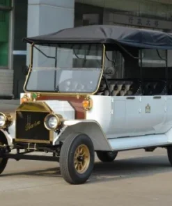 6-8 Seats 48V AC Performance Buggy / Golf Cart with Doors