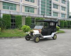 Unique Design Popular AC Motor 5kw Golf Classic Electric Buggy Vehicle