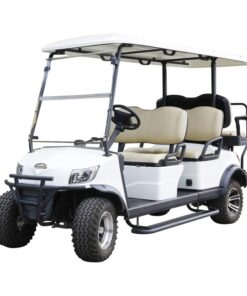 Marshell Graceful Design 6 Seater Electric Lifted Golf Cart 48V Elegant Golf Car (DH-M4+2)