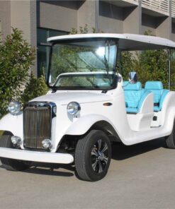 6 Seats Vintage Cart Model C