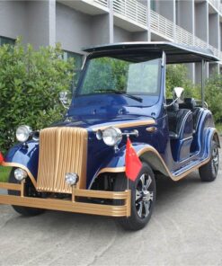 6 Seats Vintage Cart Model G