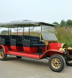 Rariro 9-12 Seats Electric Vintage Buggy Cart for Club, Golf Course, Hotel, School