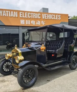 Luxury Electric Bubble Car on Sale