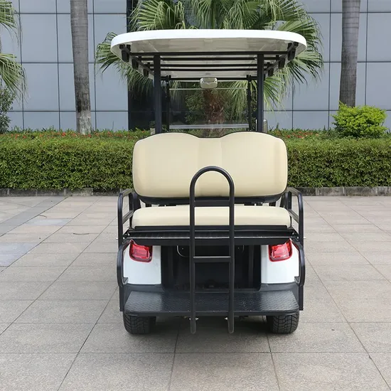 Marshell 8 Seater 48V Battery Operated Electric Lifted Golf Cart Battery Powered Sightseeing Car (DG-M6+2)