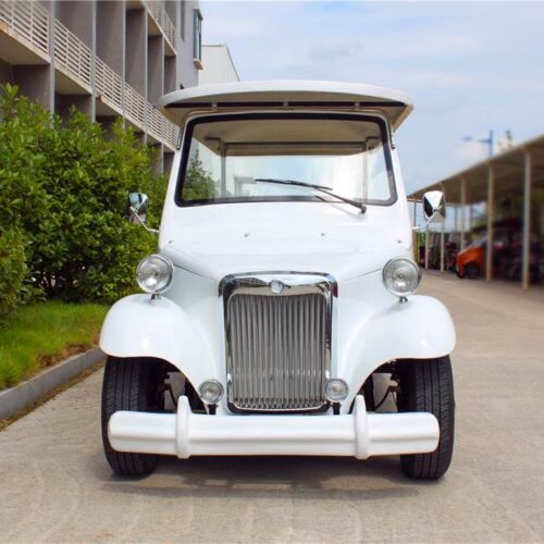 12 Seats Vintage Cart Model D