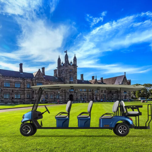 8 Seats Electric Classic Cars with 3kw AC Motor