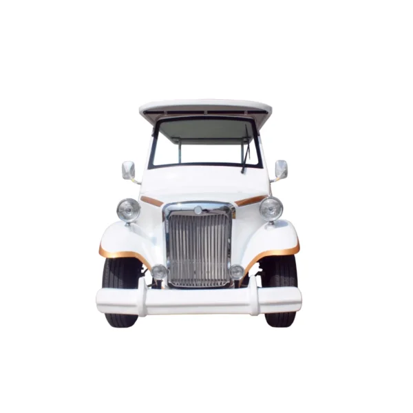 AC 48V Electric Classic Performance Golf Cart on Sale