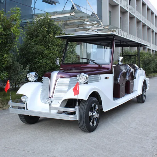 12 Seats Vintage Cart Model T