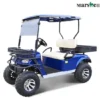 CE Approved High Power Electric Hunting Buggy Electric Utility Vehicle Lifted Cart (DH-C2)