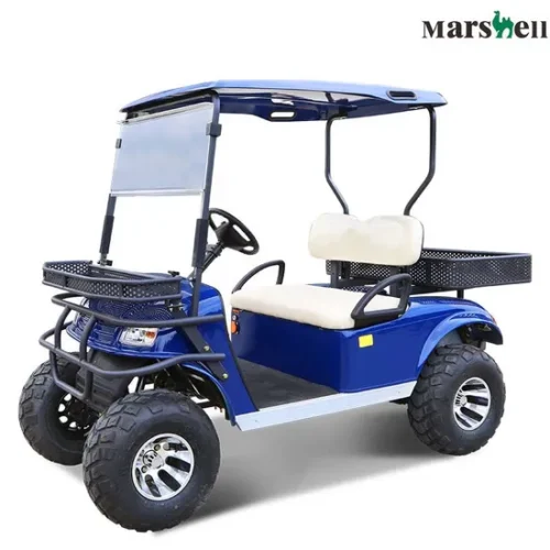 CE Approved High Power Electric Hunting Buggy Electric Utility Vehicle Lifted Cart (DH-C2)