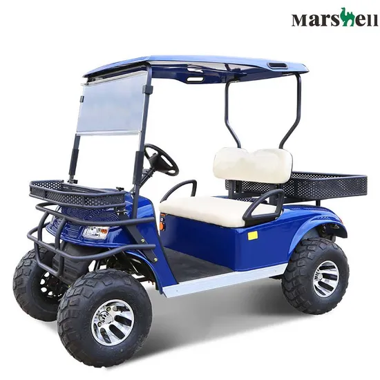 CE Approved High Power Electric Hunting Buggy Electric Utility Vehicle Lifted Cart (DH-C2)
