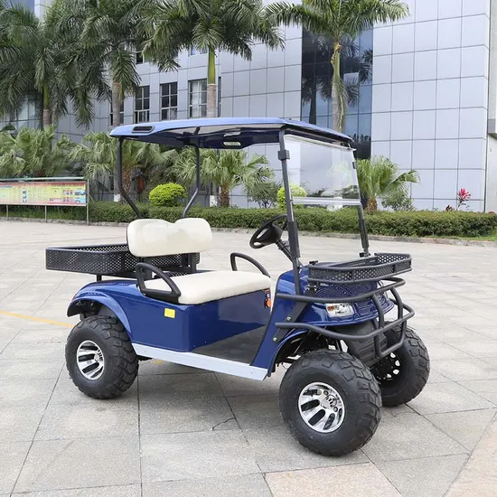 CE Approved High Power Electric Hunting Buggy Electric Utility Vehicle Lifted Cart (DH-C2)