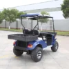 CE Approved High Power Electric Hunting Buggy Electric Utility Vehicle Lifted Cart (DH-C2)