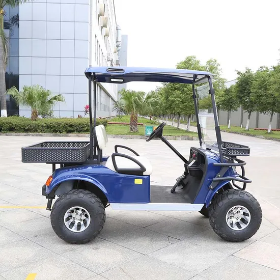 CE Approved High Power Electric Hunting Buggy Electric Utility Vehicle Lifted Cart (DH-C2)
