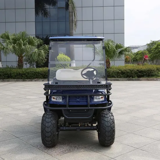 CE Approved High Power Electric Hunting Buggy Electric Utility Vehicle Lifted Cart (DH-C2)