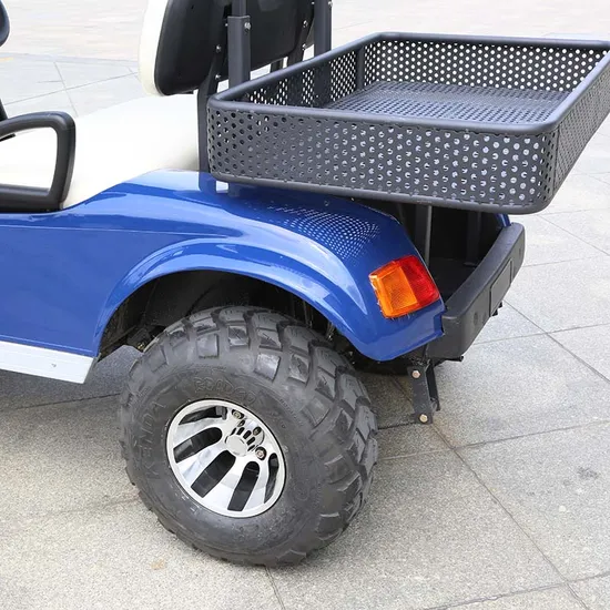 CE Approved High Power Electric Hunting Buggy Electric Utility Vehicle Lifted Cart (DH-C2)