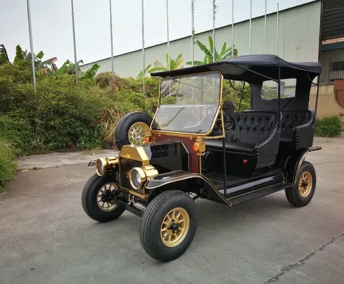 Electric Vintage Car Sightseeing Car