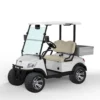 Low Price Electric Hunting Buggy (DG-M2 + Cargo box)