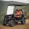 2 4 6 8 Seater Electric Golf Carts Utility Golf Vehicle Off Road Golf Buggy for Sale with Good Price