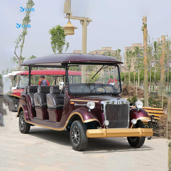 Factory Direct Sell New Inpower Controller 8 Person Antique Car Golf Vehicle