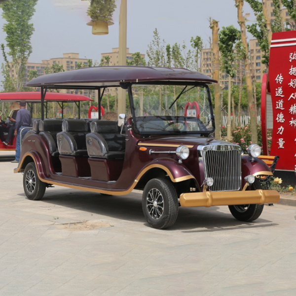 Factory Direct Sell New Inpower Controller 8 Person Antique Car Golf Vehicle