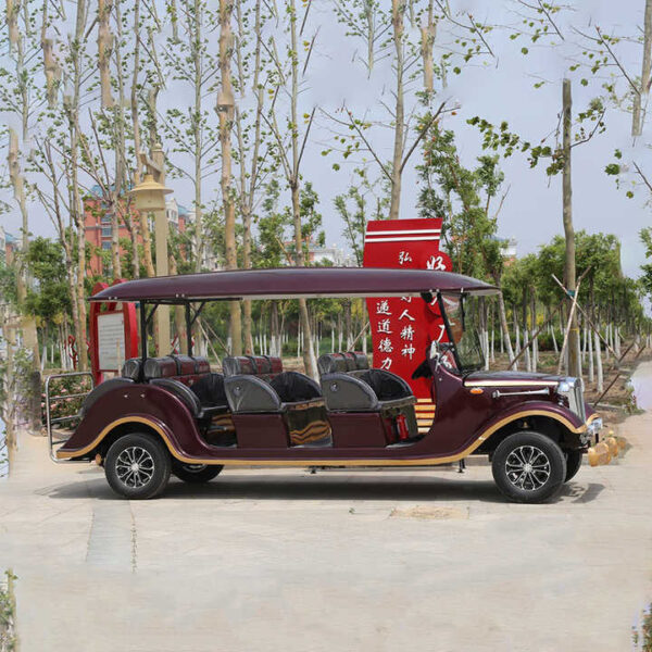 Factory Direct Sell New Inpower Controller 8 Person Antique Car Golf Vehicle