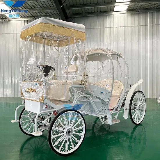 Beautiful Exquisite Royal 4 Wheeler Cinderella Carriage