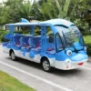 Dolphin Design 14 Seaters Electric Shuttle Bus for Sale Sightseeing Car (DN-14)