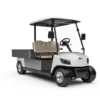 Low Price Electric Hunting Buggy (DG-M2 + Cargo box)