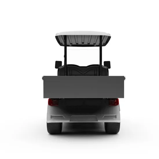 Low Price Electric Hunting Buggy (DG-M2 + Cargo box)