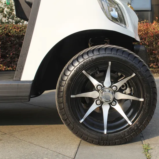 Marshell 8 Seater 48V Battery Operated Electric Lifted Golf Cart Battery Powered Sightseeing Car (DG-M6+2)