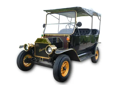 Black Vintage Buggy/Golf Cart