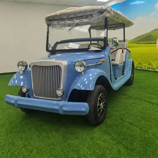 6-8 Seats Blue Vintage Buggy/Classic Car/ Golf Cart with Custom White Seats