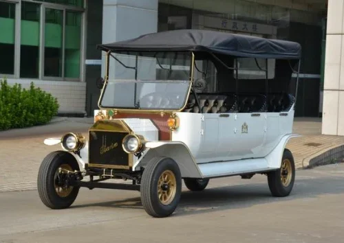 6-8 Seats 48V AC Performance Buggy / Golf Cart with Doors