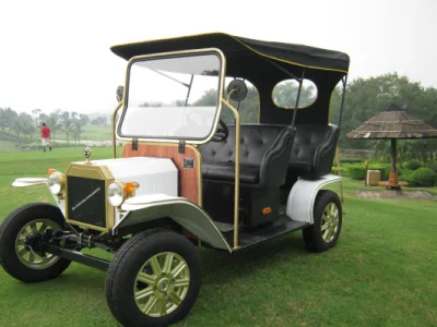 Unique Design Popular AC Motor 5kw Golf Classic Electric Buggy Vehicle