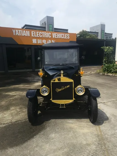 Luxury Electric Bubble Car on Sale