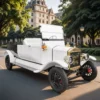 735937933369797-800-800 Yatian Long Cargo Electric Vehicle – Eco-Friendly Short Distance Transport Truck