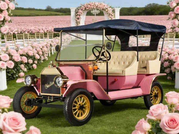 Wedding Concierge & Middle East Market Special - YATIAN Retro Electric Car 00, Fast Break-Even
