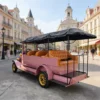 Classic-Sightseeing-Car-800-800 (3) YATIAN LY11N 11-Seat Custom Pink & Gold Vintage Electric Car – Multi-Scene Profitable Sightseeing Shuttle