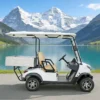 GQ02Z-800-800 (2) YATIAN GQ02Z 2 Seater 4×4 Electric Hunting Vehicle with Cargo Box – Off-Road Ready