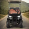 GQ22P-800-800 Yatian Electric UTV 4x4: The All-Terrain Workhorse for Hunting, Farming & Off-Road Tasks