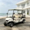 GQ42C 4+2 Seater Electric Golf Cart | 48V 5KW Motor 80km Range