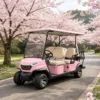 GQ42C 4+2 Seater Electric Golf Cart | 48V 5KW Motor 80km Range