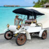 China 4 Seats Vintage Golf Cart Electric Classic Buggy Car on Sale