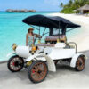 4 Seater Model T Style Vintage Electric Sightseeing Car CE Approved Retro Classic Vehicle for Tourist Attraction