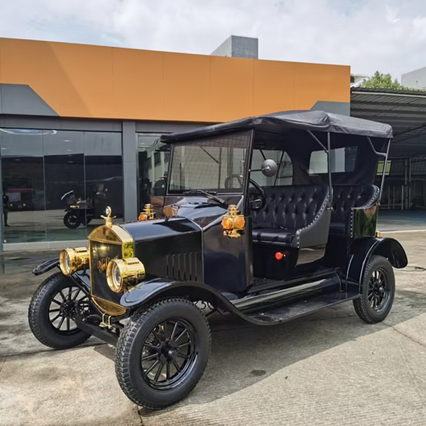 Vintage Electric Bubble Car for Luxurious Villa Decor