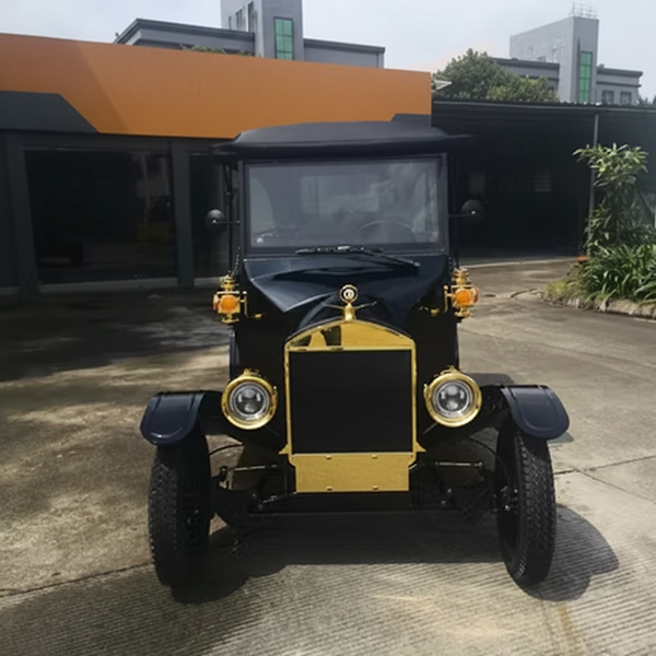 Vintage Electric Bubble Car for Luxurious Villa Decor