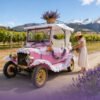 image 50 Antique Five Person Passenger Sightseeing Golf Cart