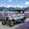 image 53 Antique Five Person Passenger Sightseeing Golf Cart